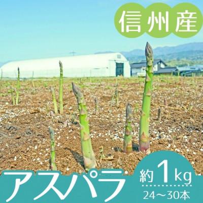 ふるさと納税 下條村 [信州産]アスパラガス 秀品 約1kg(500g×2袋入り) 2026年4月中旬より順次発送