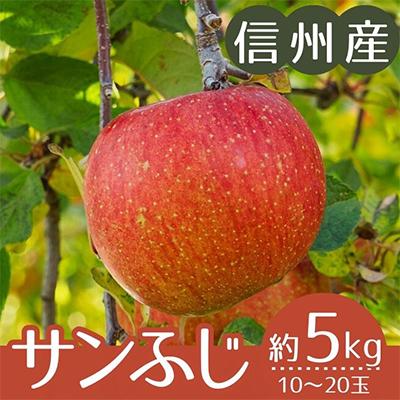 ふるさと納税 下條村 [信州産]サンふじりんご 秀品 約5kg(10〜20玉) 2025年11月下旬から順次発送