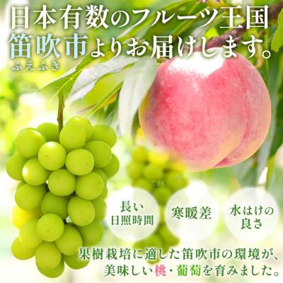 ふるさと納税 笛吹市 【2026年先行予約】農園こだわりの甘くてジューシーな桃 2kg以上 4〜6玉 村松農園 笛吹市の画像