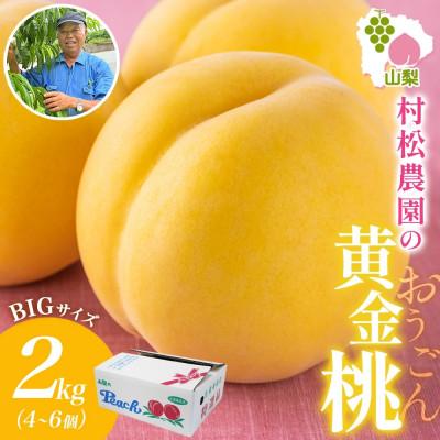 ふるさと納税 笛吹市 [2026年先行予約]マンゴーみたいな甘さ「黄金桃」2kg以上 4〜6玉 村松農園 山梨県 笛吹市