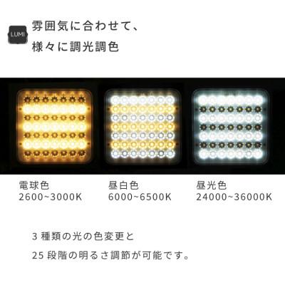 ふるさと納税 犬山市 【EVOKE/イヴォーグ公式】 LUMI ルーミー キャンプ用ランタン(ブラック)|usb充電式 |  | 01