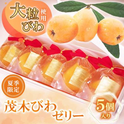 ふるさと納税 南島原市 茂木びわゼリー 5個入り