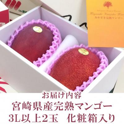 ふるさと納税 三股町 【先行予約】期間限定・数量限定 宮崎県産完熟