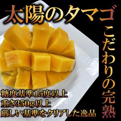 ふるさと納税 三股町 【先行予約】期間・数量限定 宮崎県産完熟