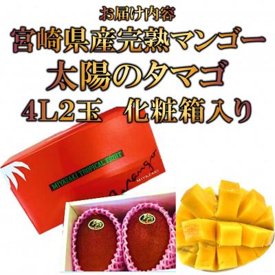 ふるさと納税 三股町 【先行予約】期間・数量限定 宮崎県産完熟