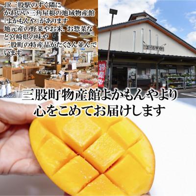 ふるさと納税 三股町 【先行予約】期間・数量限定 宮崎県産完熟