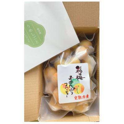 ふるさと納税 若狭町 冷凍完熟梅(福井梅)1kg