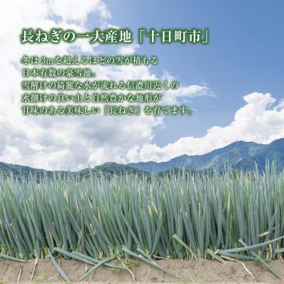 ふるさと納税 十日町市 新潟県 十日町産 長ネギ 白ねぎ 1kg  農家直送 太田島施設園芸 |  | 01