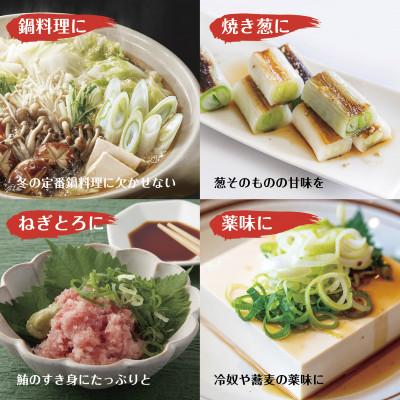 ふるさと納税 十日町市 新潟県 十日町産 長ネギ 白ねぎ 1kg  農家直送 太田島施設園芸 |  | 02