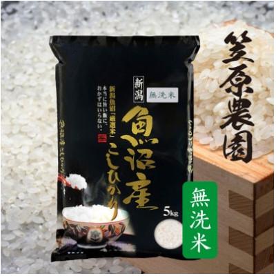ふるさと納税 南魚沼市 令和7年産 南魚沼産コシヒカリ無洗米5kg