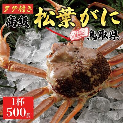 ふるさと納税 琴浦町 [2025年11月発送]特撰 松葉がに(生)[タグ付き]500g1杯 ※足の欠けなし N16_I