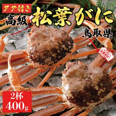 ふるさと納税 琴浦町 [2025年11月発送]松葉がに(生)400g2杯 ※足の欠けなし N20_I
