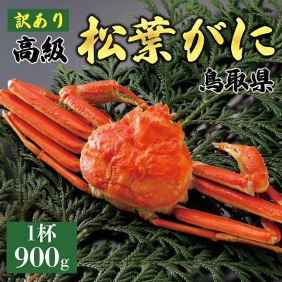 ふるさと納税 琴浦町 [2025年11月発送]訳あり 松葉がに(茹)900g1杯 N22_Y