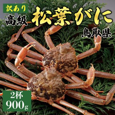 ふるさと納税 琴浦町 [2025年11月発送]訳あり 松葉がに(生)900g2杯 N23_I