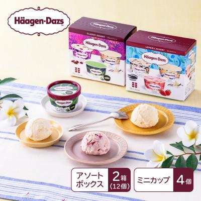 ふるさと納税 高崎市 [16A002]ハーゲンダッツ マルチパックセット