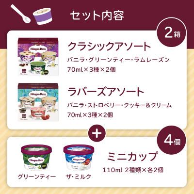 ふるさと納税 高崎市 《16A002》ハーゲンダッツ　マルチパックセット |  | 02