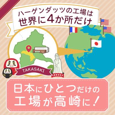 ふるさと納税 高崎市 《15A004》ハーゲンダッツ　ポピュラーセット |  | 01