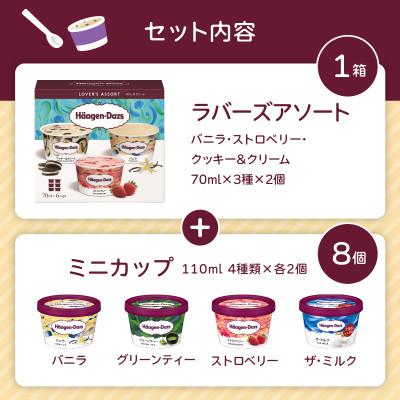ふるさと納税 高崎市 《15A004》ハーゲンダッツ　ポピュラーセット |  | 02