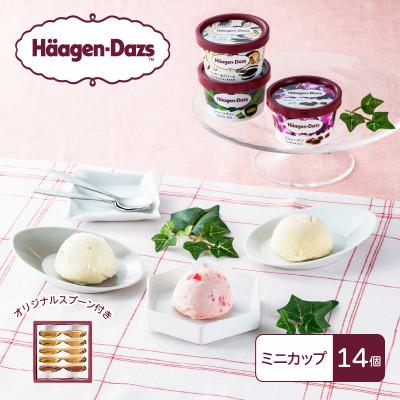 ふるさと納税 高崎市 [25087]ハーゲンダッツ スタンダードセット