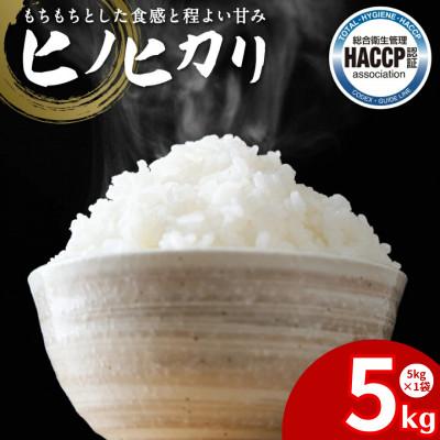 ふるさと納税 八代市 [先行予約][令和7年産] ヒノヒカリ 5kg×1袋 計5kg 熊本県産