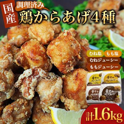 ふるさと納税 人吉市 [幸せのからあげ]ゴールドセット 調理済 1.6kg(人吉市)