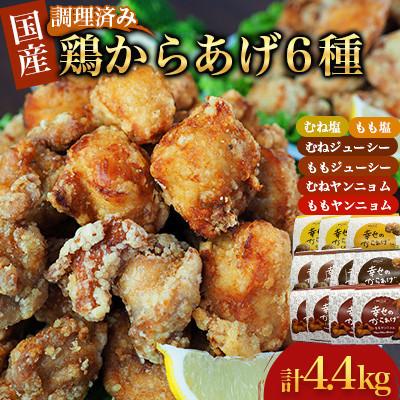 ふるさと納税 人吉市 [幸せのからあげ]ブラックセット 調理済 4.4kg(人吉市)