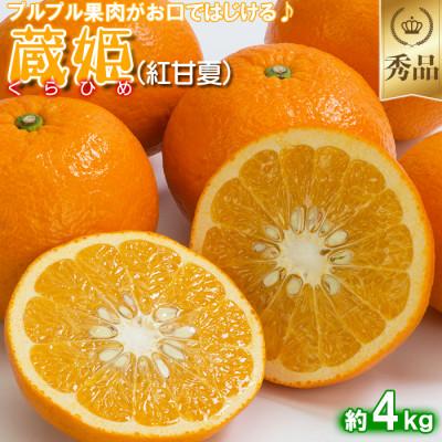 ふるさと納税 杵築市 今村農園の蔵姫くらひめ(紅甘夏) 約4kg [秀品]