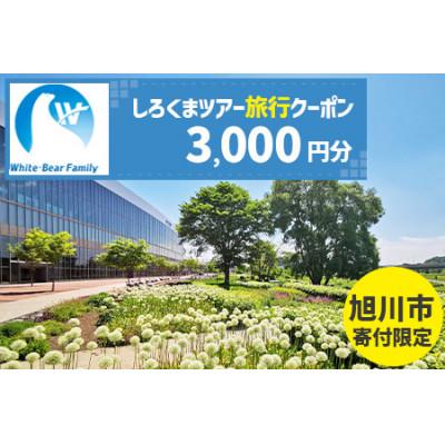 ふるさと納税 旭川市 [旭川市]しろくまツアーで利用可能なWEB旅行クーポン (3,000円分)_05212