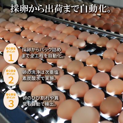 ふるさと納税 京丹波町 京都 こだわり卵 赤たまご 約5kg 80個(割れ補償10個含む) |  | 02