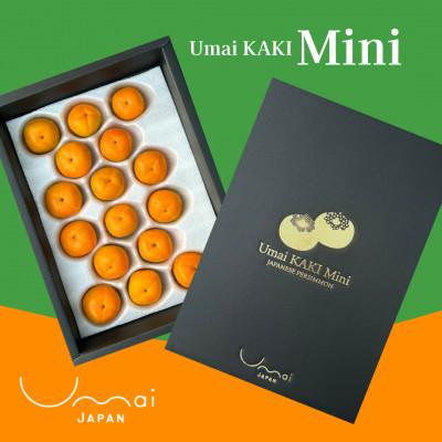 ふるさと納税 瑞穂市 [30箱限定!!]Umai 柿 ミニ プレミアム