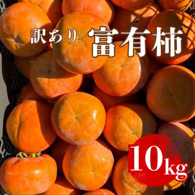 ふるさと納税 瑞穂市 [訳あり・キズあり]岐阜県瑞穂市産 富有柿