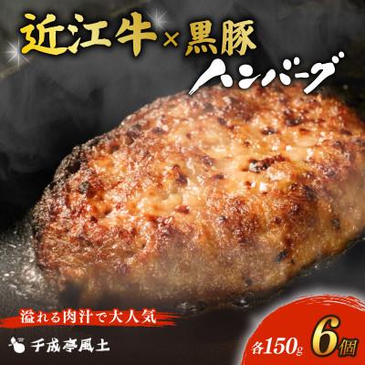 ふるさと納税 彦根市 千成亭 近江牛と黒豚のハンバーグ 150g×6個 ソース付き