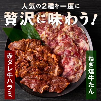 ふるさと納税 泉佐野市 【Yahoo!ふるさと納税限定】牛タン&牛ハラミ お