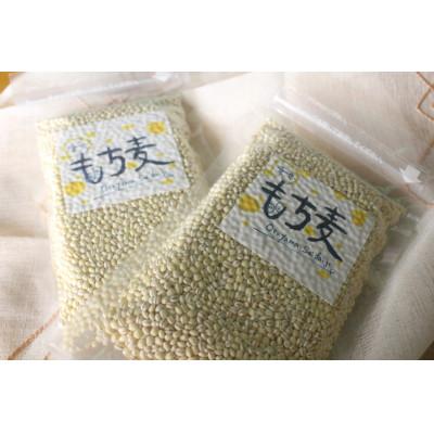 ふるさと納税 岡山市 令和7年産もち麦(キラリモチ)岡山西大寺幸せもち麦 2kg(200g×10袋)