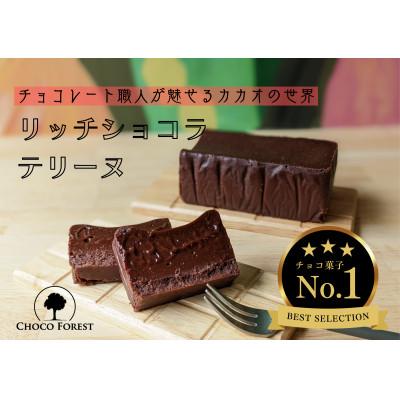 ふるさと納税 寝屋川市 チョコレート職人が魅せる「リッチ・ショコラテリーヌ」