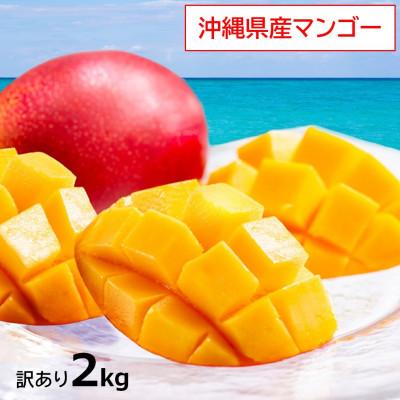 ふるさと納税 八重瀬町 [2026年発送]訳あり・沖縄県産マンゴー2kg(4〜6玉)
