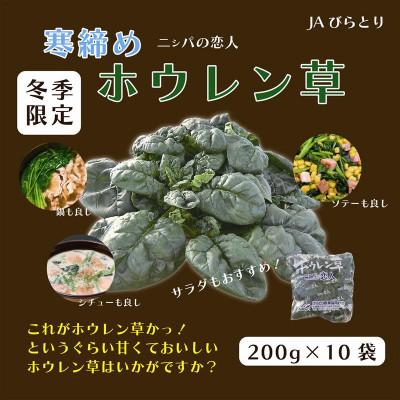 ふるさと納税 平取町 [先行予約/12月中旬以降発送][北海道平取町産]寒締めホウレン草(ちぢみホウレン草)