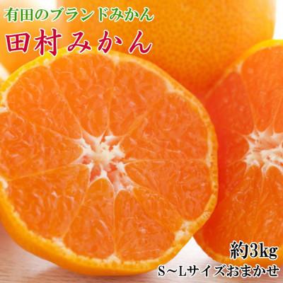 ふるさと納税 由良町 [ブランドみかん]田村みかん約3kg(S.M.Lサイズおまかせ・秀品)[由良町]