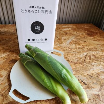 ふるさと納税 印南町 ホワイトコーン極-Kiwamiー(レギュラー)