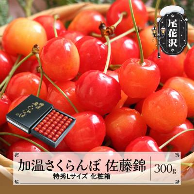 ふるさと納税 尾花沢市 先行受付 加温 さくらんぼ 佐藤錦 特秀Lサイズ 300g 化粧箱鏡詰め 2026年産 山形県産