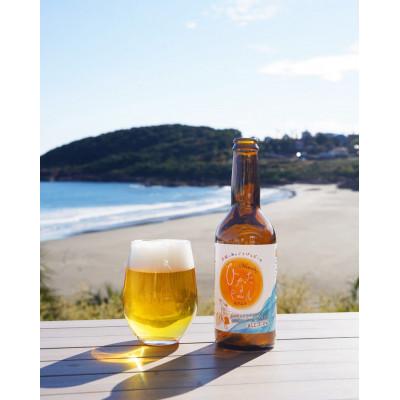 ふるさと納税 日向市 太陽と海のごきげんビール「ひなたビール」6本入