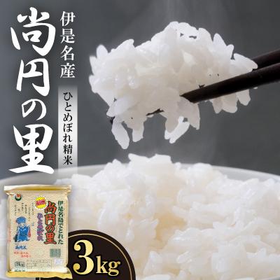 ふるさと納税 伊是名村 [数量限定]尚円の里 伊是名産ひとめぼれ精米 3kg×1袋