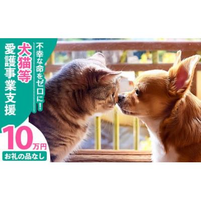 ふるさと納税 八重瀬町 [返礼品なし][南の島の動物愛護活動]犬と猫と人にとって住みよい社会づくりをサポート(10万円)