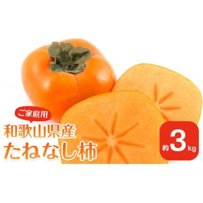 ふるさと納税 九度山町 [2026年10月上旬以降発送] 和歌山県産 平核無柿 [ご家庭用] 約3kg 満杯詰