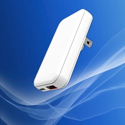 ふるさと納税 泉佐野市 急速充電器 PD 20W USB Type-A&amp;Type-C スマートフォン超薄型 099H3808