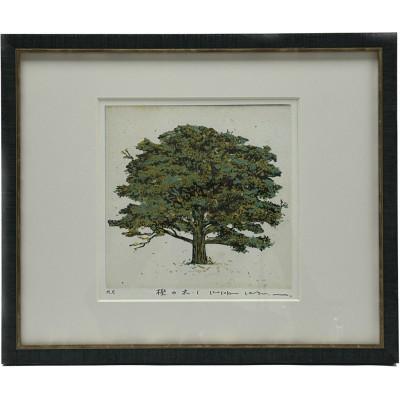 ふるさと納税 茨木市 木村光佑-樫の木-