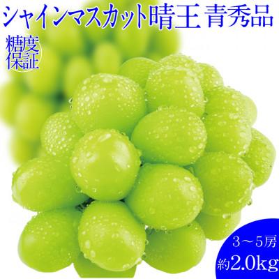 ふるさと納税 浅口市 2026年 先行予約 シャインマスカット 晴王 3〜5房 約2kg 岡山県産 9月〜10月発送