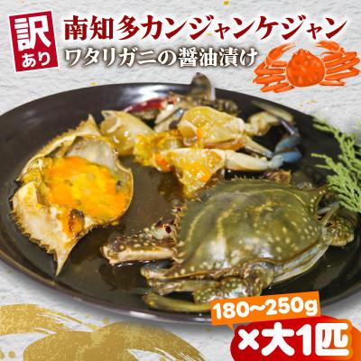 ふるさと納税 南知多町 訳あり カンジャンケジャン 大サイズ(180g〜250g)×1匹
