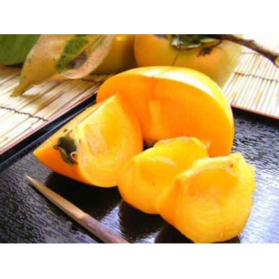 ふるさと納税 かつらぎ町 和歌山県産たねなし柿 約7.5kg LまたはMサイズ・36個または40個入り