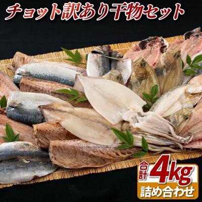 ふるさと納税 佐世保市 【かけはし水産】チョット訳あり干物セット A449 | 